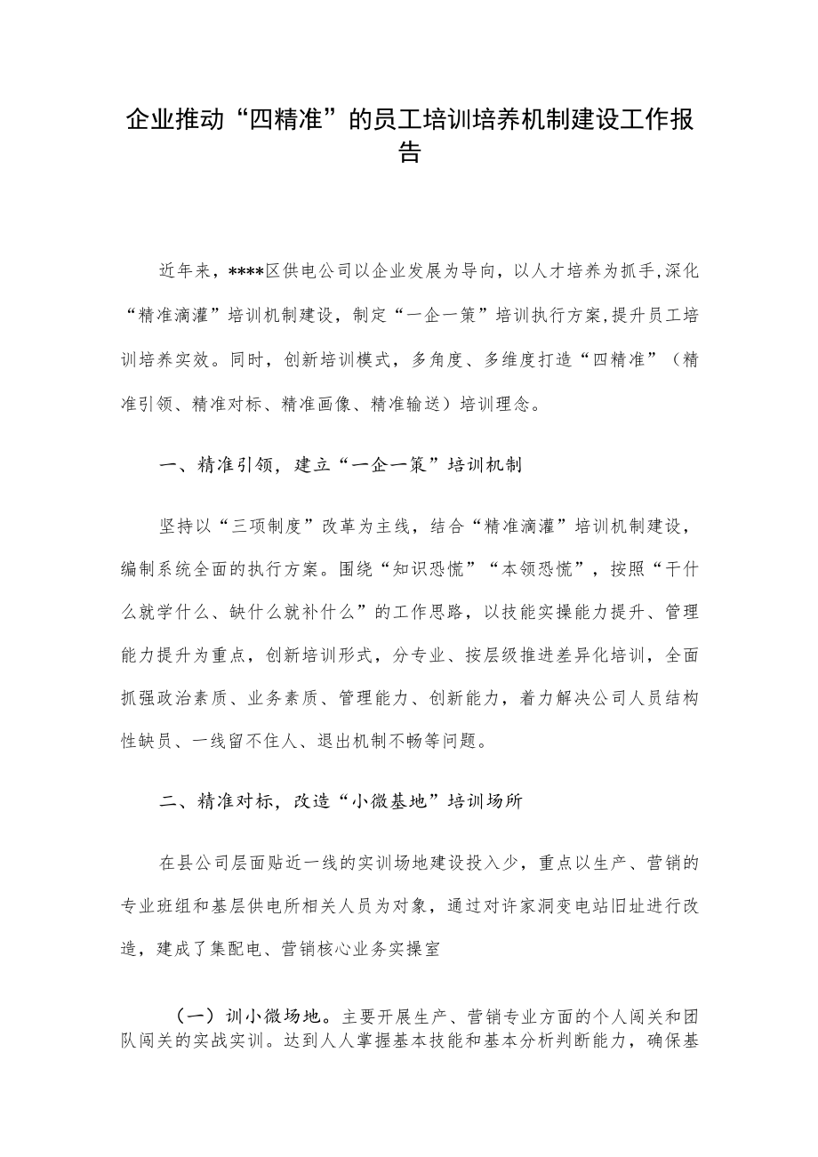 企业推动“四精准”的员工培训培养机制建设工作报告.docx_第1页