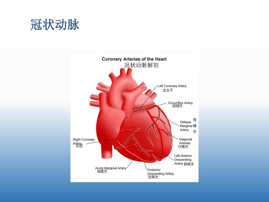 冠心病的常规护理.ppt_第1页