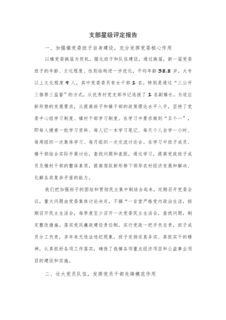 支部星级评定报告.docx_第1页