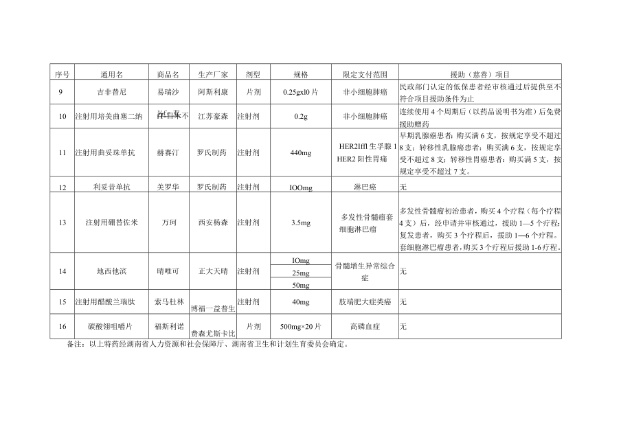 《大病特药品种价格及援助（慈善）项目》.docx_第2页