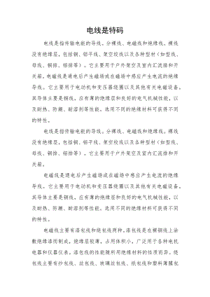 电线是特码.docx