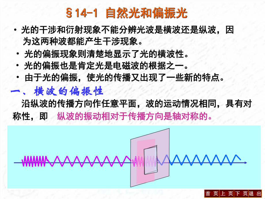 大学物理光的偏振.ppt_第2页