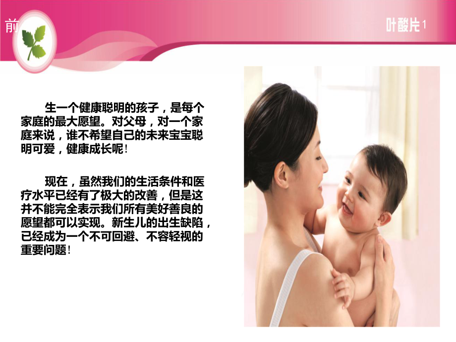 叶酸培训课件.ppt_第2页