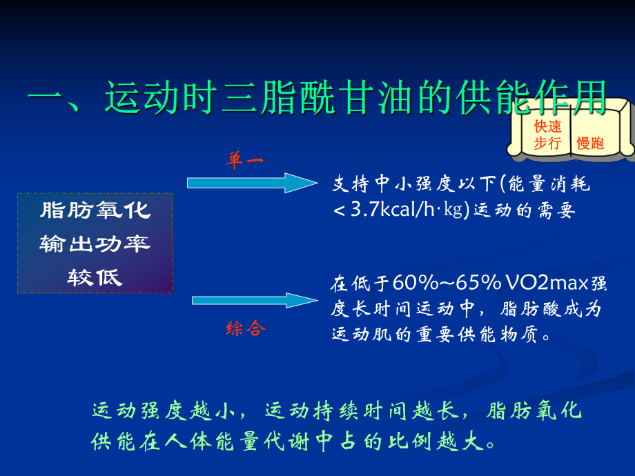 运动生物化学课件.ppt_第3页