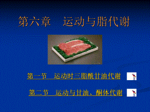 运动生物化学课件.ppt