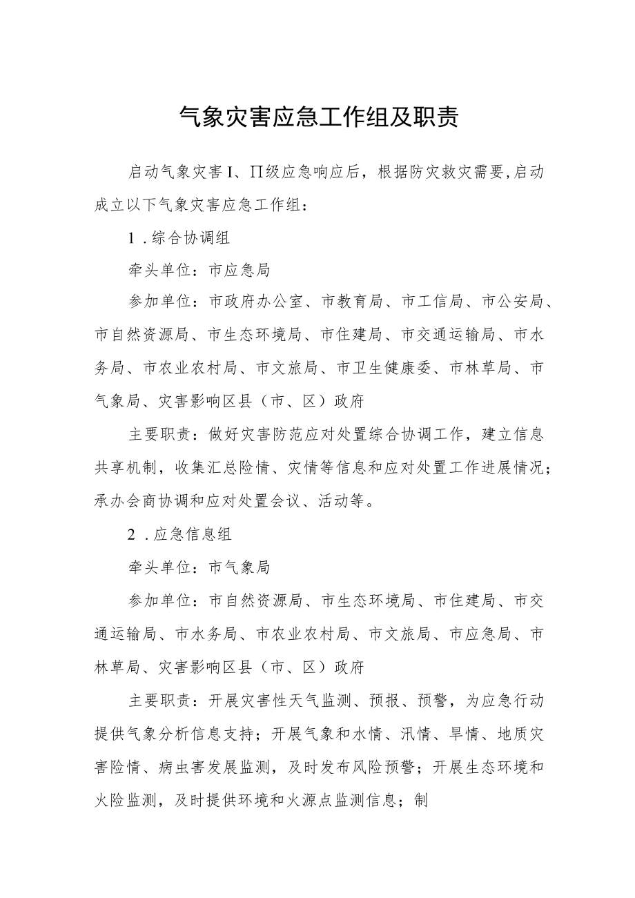 气象灾害应急工作组及职责.docx_第1页