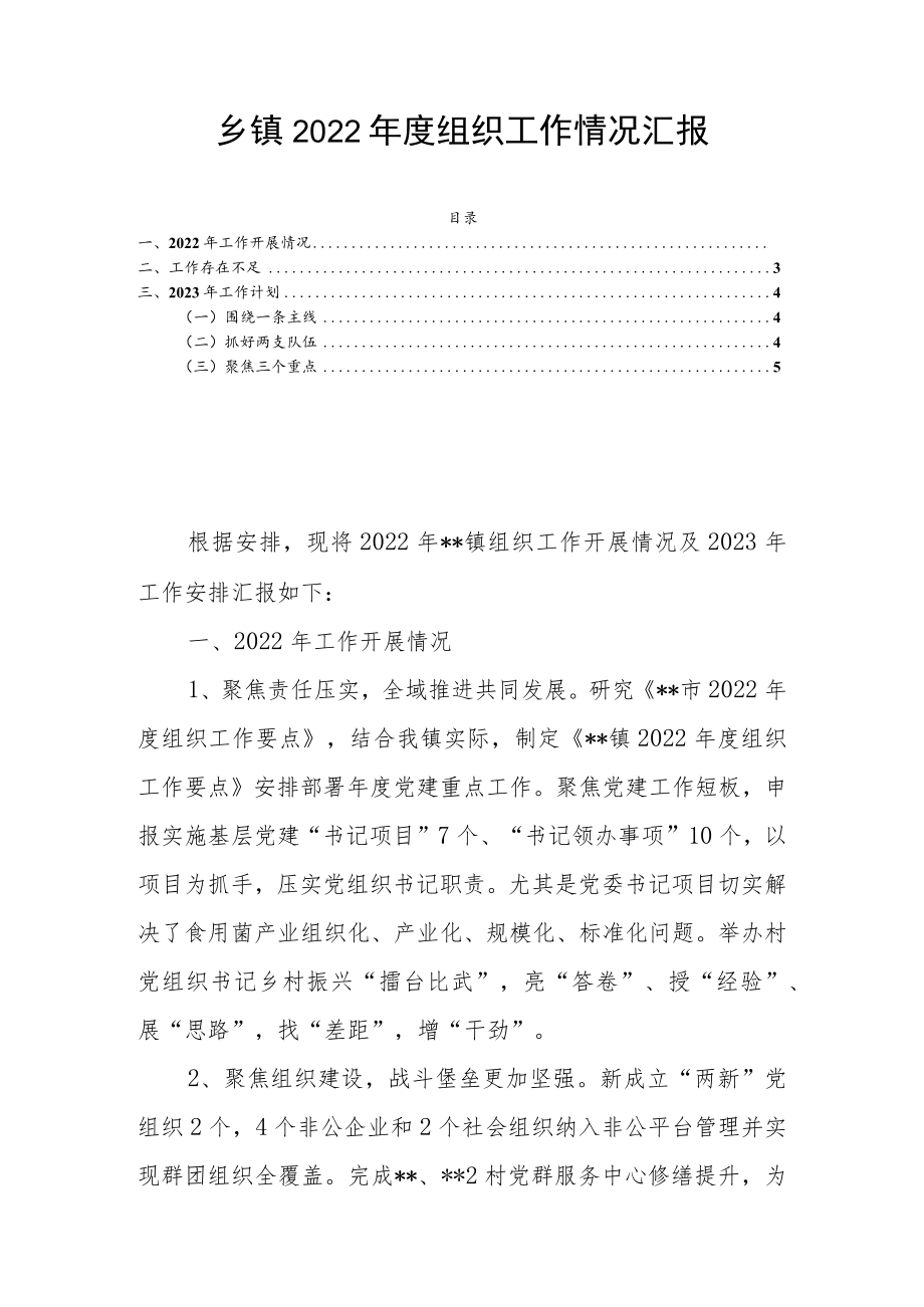 乡镇2022年度组织工作情况汇报.docx_第1页