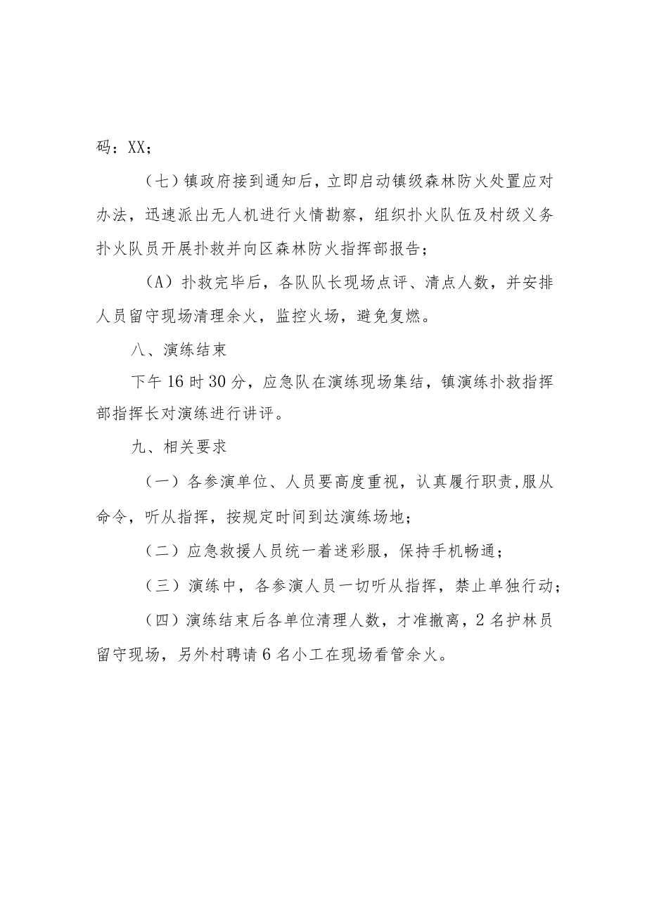 镇森林防火现场扑救演练方案.docx_第3页