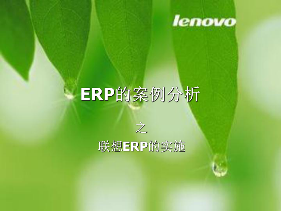 ERP的案例分析.ppt_第1页