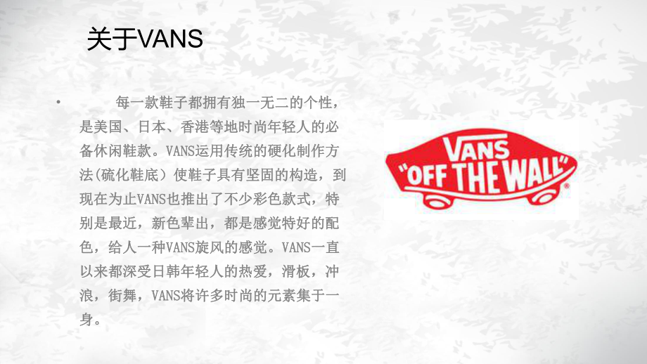 VANS品牌调研报告.ppt_第3页