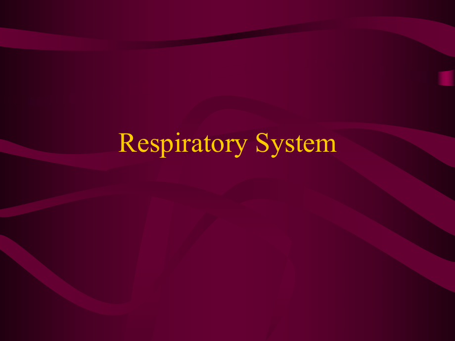 respiratoryterminology医学英语.ppt_第1页