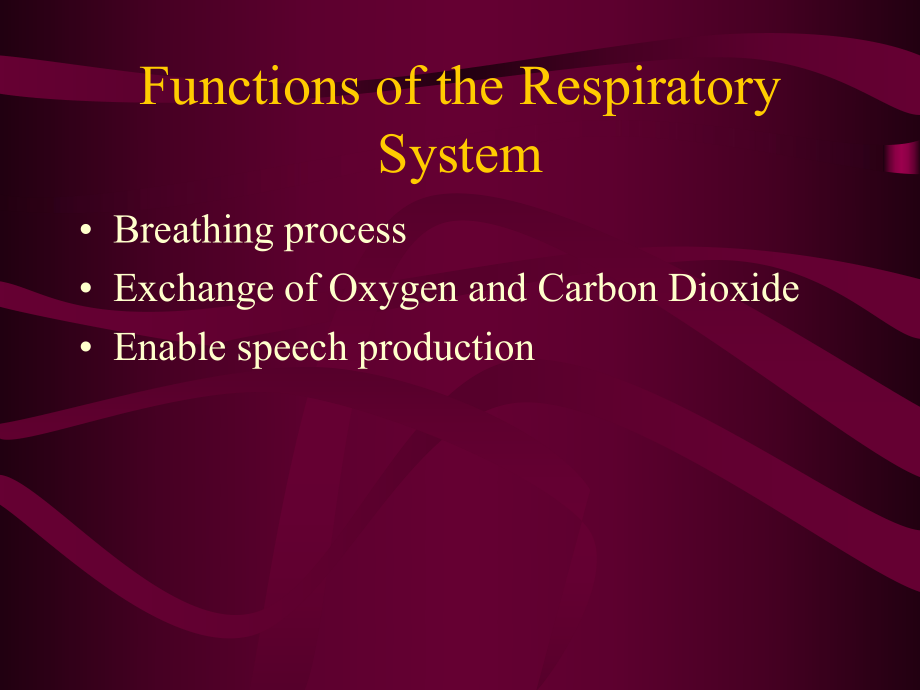 respiratoryterminology医学英语.ppt_第2页