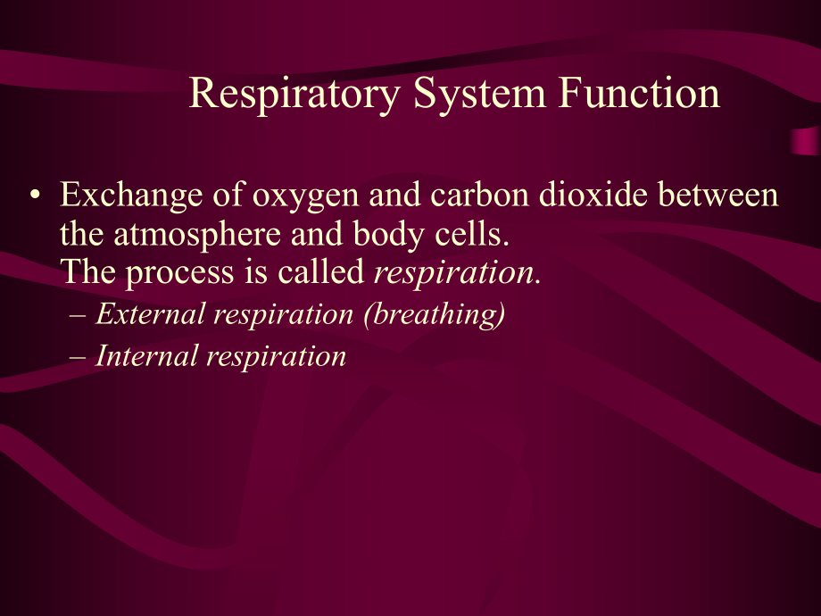 respiratoryterminology医学英语.ppt_第3页