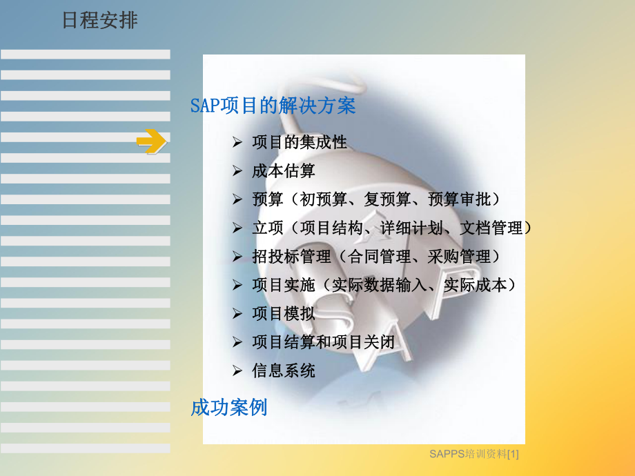 SAPPS培训资料[1].ppt_第2页