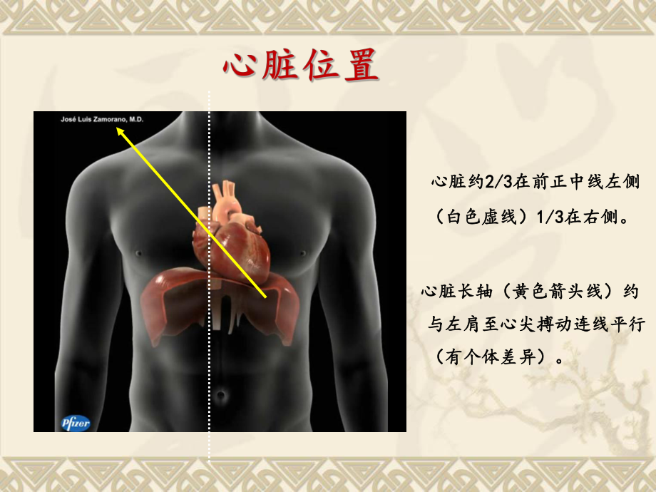 心脏超声常规切面及手法操作.ppt_第2页