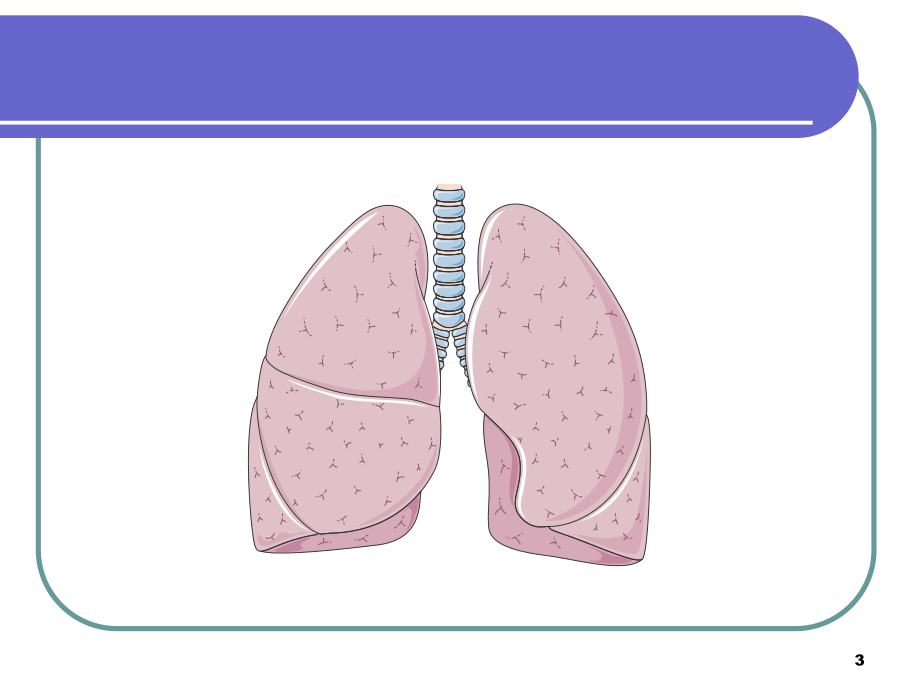 临床医学概论咯血医学PPT课件.ppt_第3页