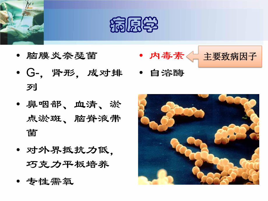 【传染病】流脑.ppt_第3页