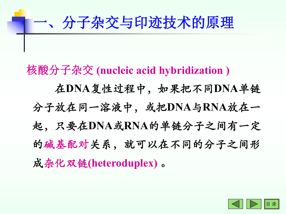 分子生物学常用技术.ppt_第3页