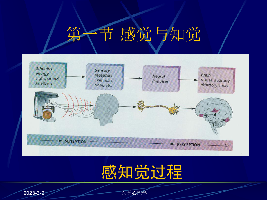 医学心理学课件第三章认知过程.ppt_第3页