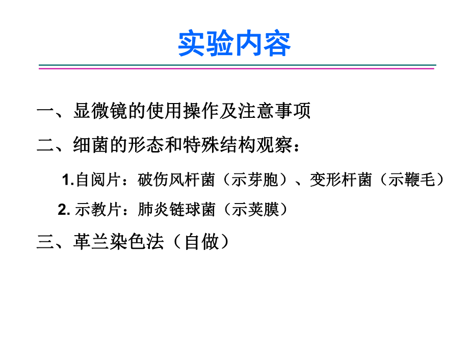 医学微生物学实验一课件.ppt_第2页