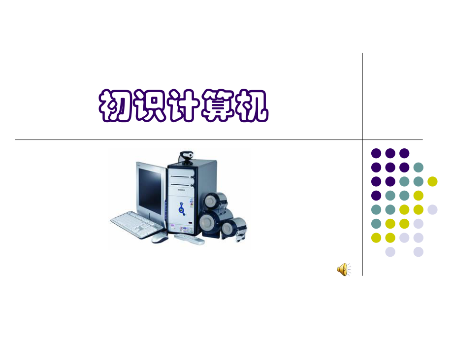 初识计算机(课件).ppt_第1页