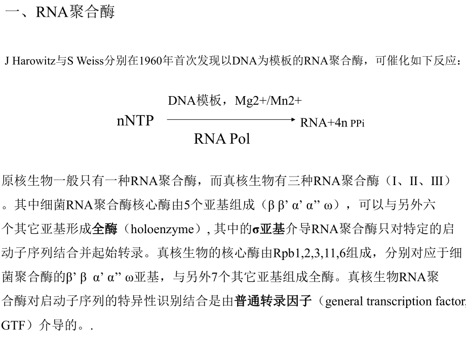 分子生物学转录.ppt_第3页