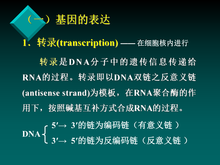 医学生物学7.ppt_第3页