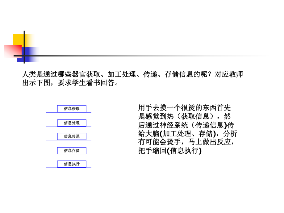 信息技术及其发展.ppt_第2页