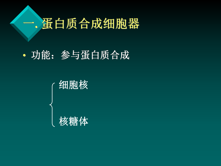 医学生物学3.ppt_第3页