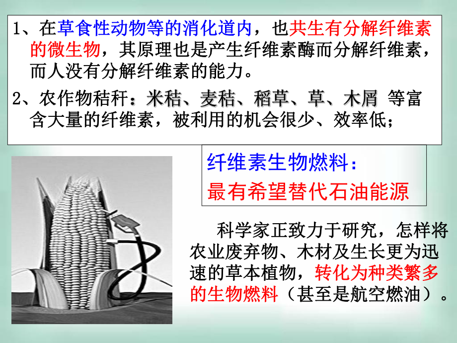 分解纤维素的微生物的分离.ppt_第2页