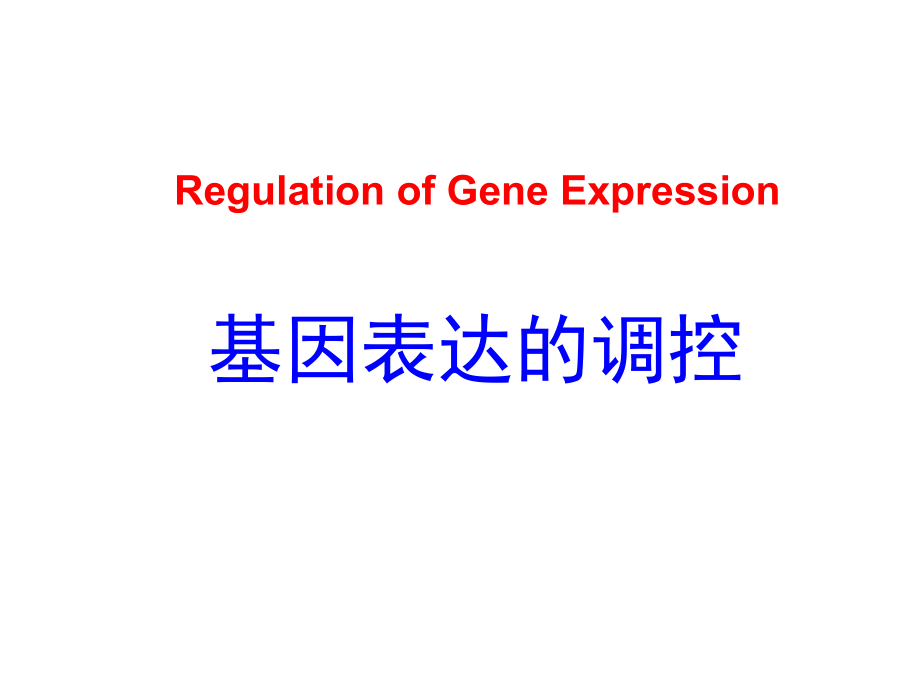 分子生物学PPT.ppt_第1页