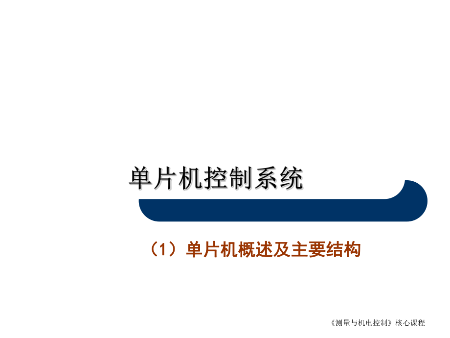 单片机控制系统.ppt_第1页