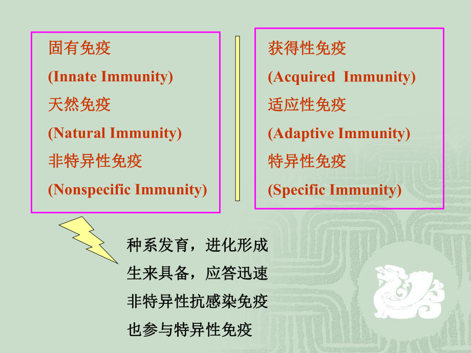 四川大学医学免疫学课件9固有免疫.ppt_第2页