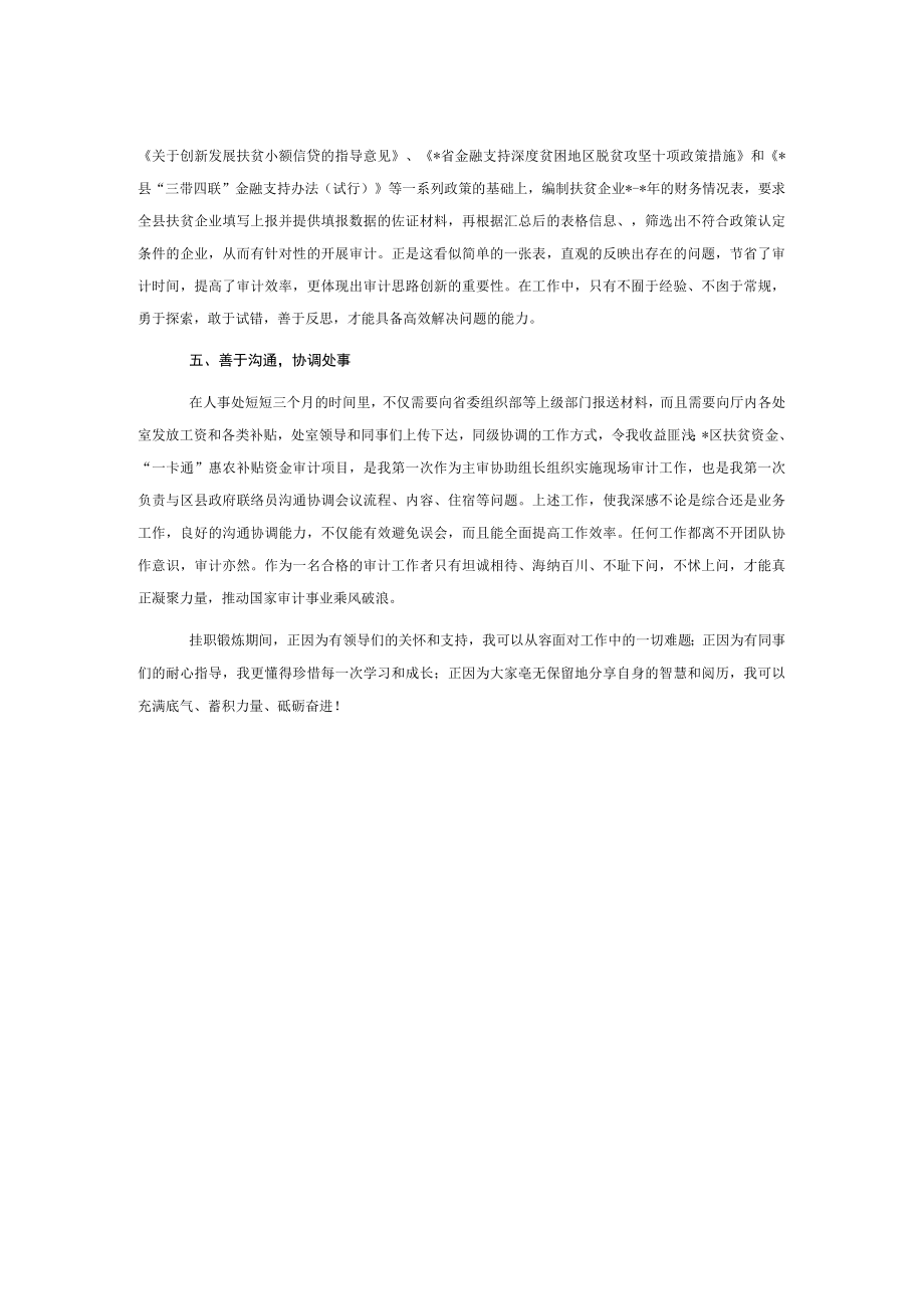 审计局干部挂职锻炼工作总结.docx_第2页