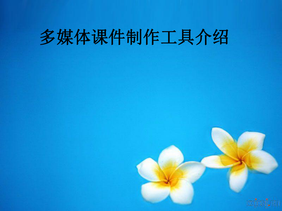 多媒体课件制作工具.ppt_第1页