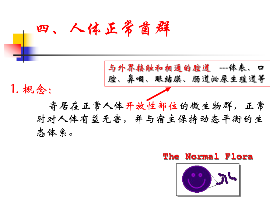 微生物的分布.ppt_第3页