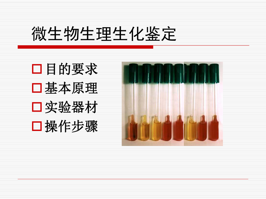 微生物生理生化鉴定.ppt_第1页