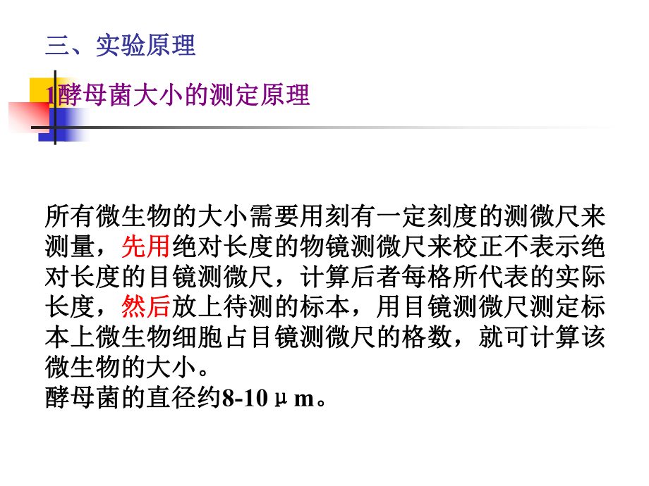 微生物大小的测定.ppt_第3页