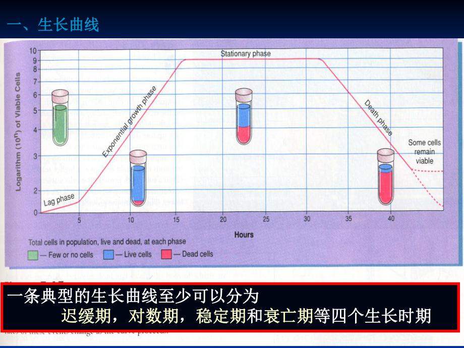 微生物的生长规律.ppt_第1页