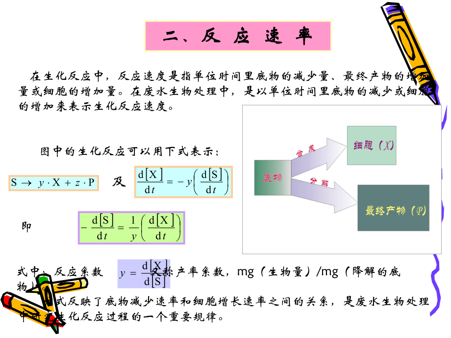 微生物生长动力学.ppt_第3页