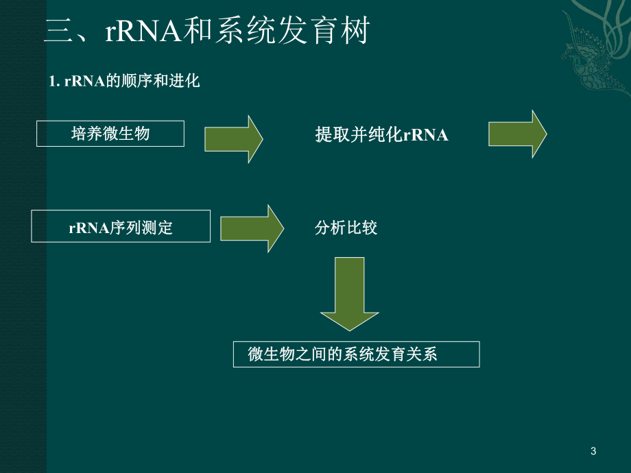 微生物的分类与鉴定.ppt_第3页