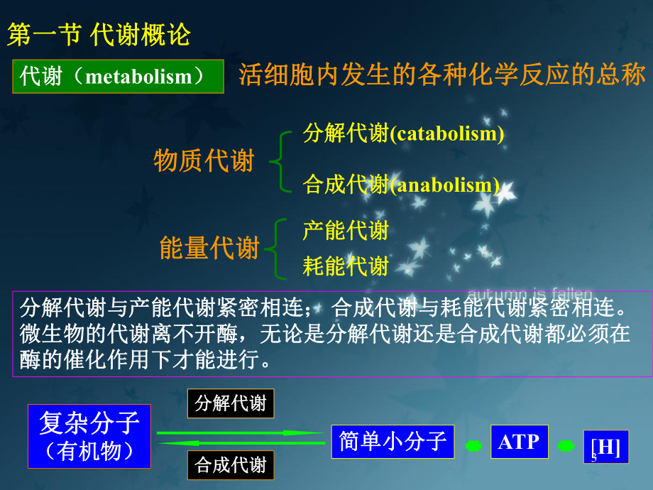 微生物的代谢.ppt_第3页