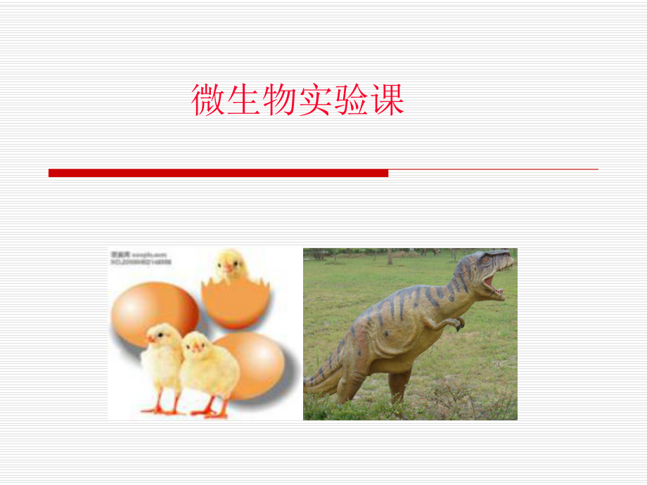 微生物实验课..ppt_第1页