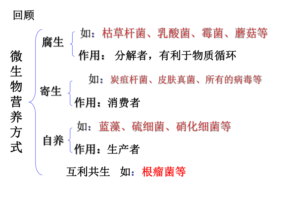 微生物与人类的关系.ppt_第2页