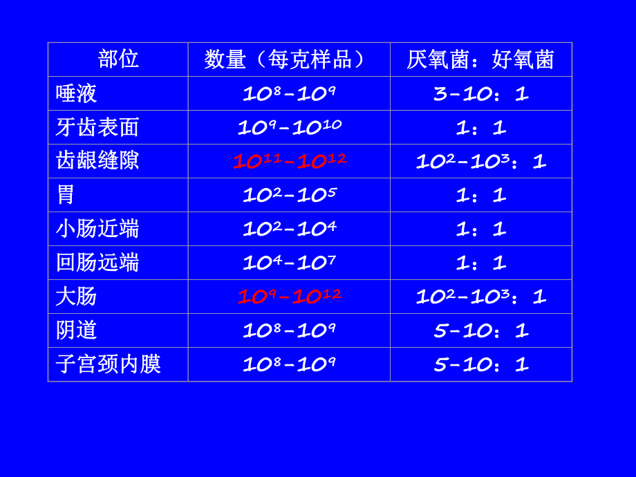 微生物生态学44微生物与人体的相互作用(精).ppt_第3页