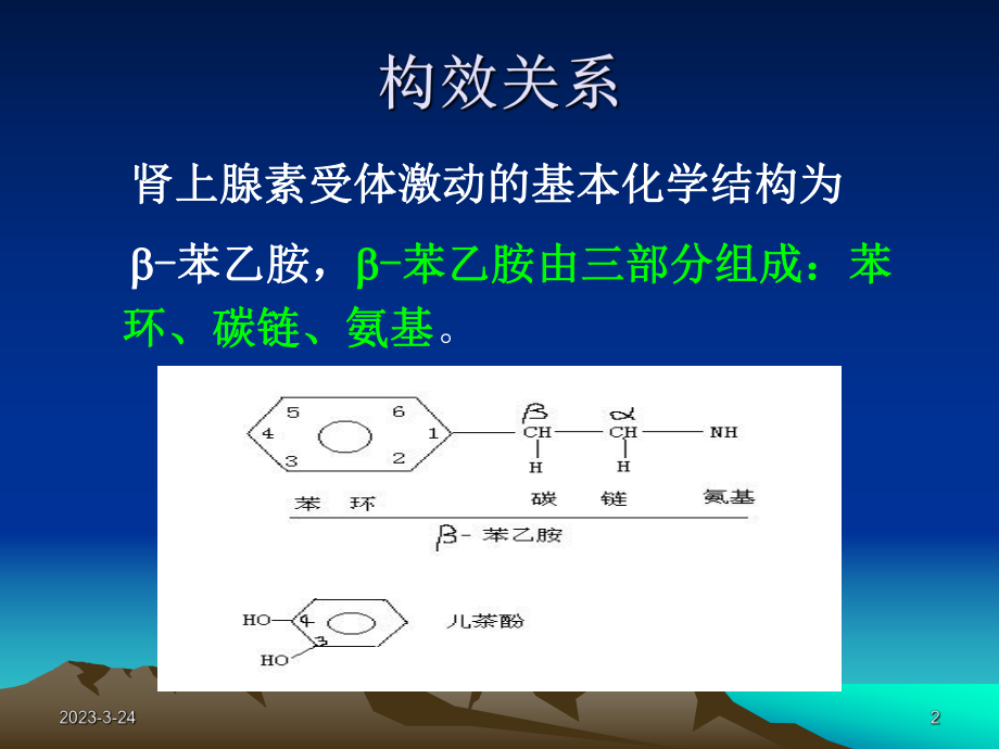 异丙肾上腺素PPT医学课件.ppt_第2页