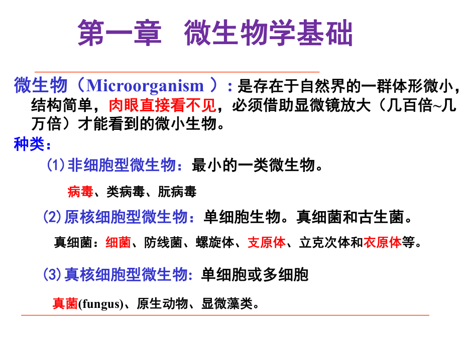 微生物与健康.ppt_第2页