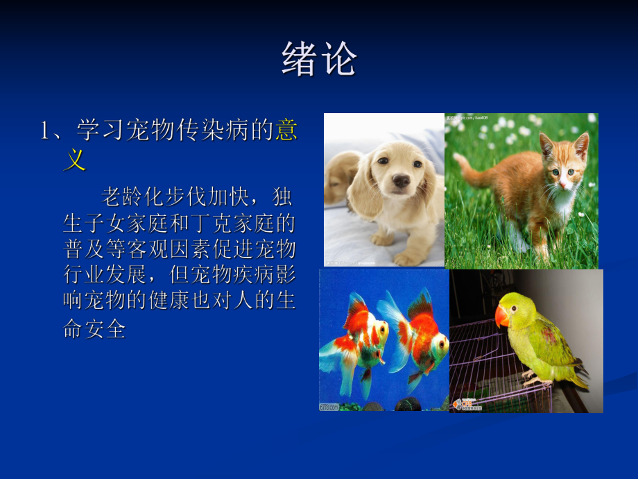 宠物传染病总论.ppt_第3页