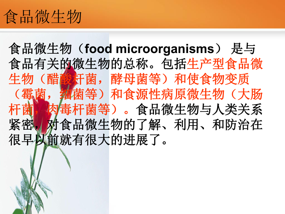 微生物与食品..ppt_第3页