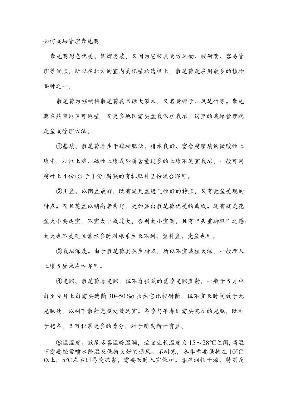 如何栽培管理散尾葵.docx_第1页